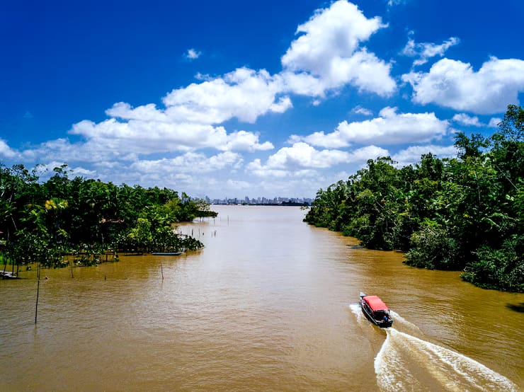 Discover Sundarbans Through Videos